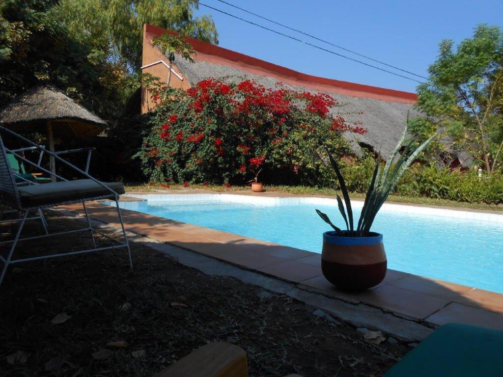 Cape Mac Lodge Cape Maclear Dış mekan fotoğraf