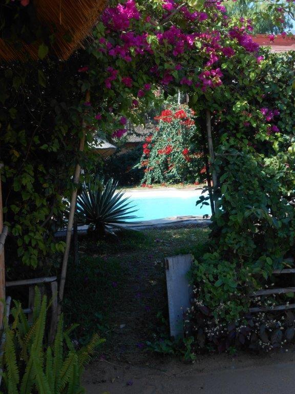 Cape Mac Lodge Cape Maclear Dış mekan fotoğraf